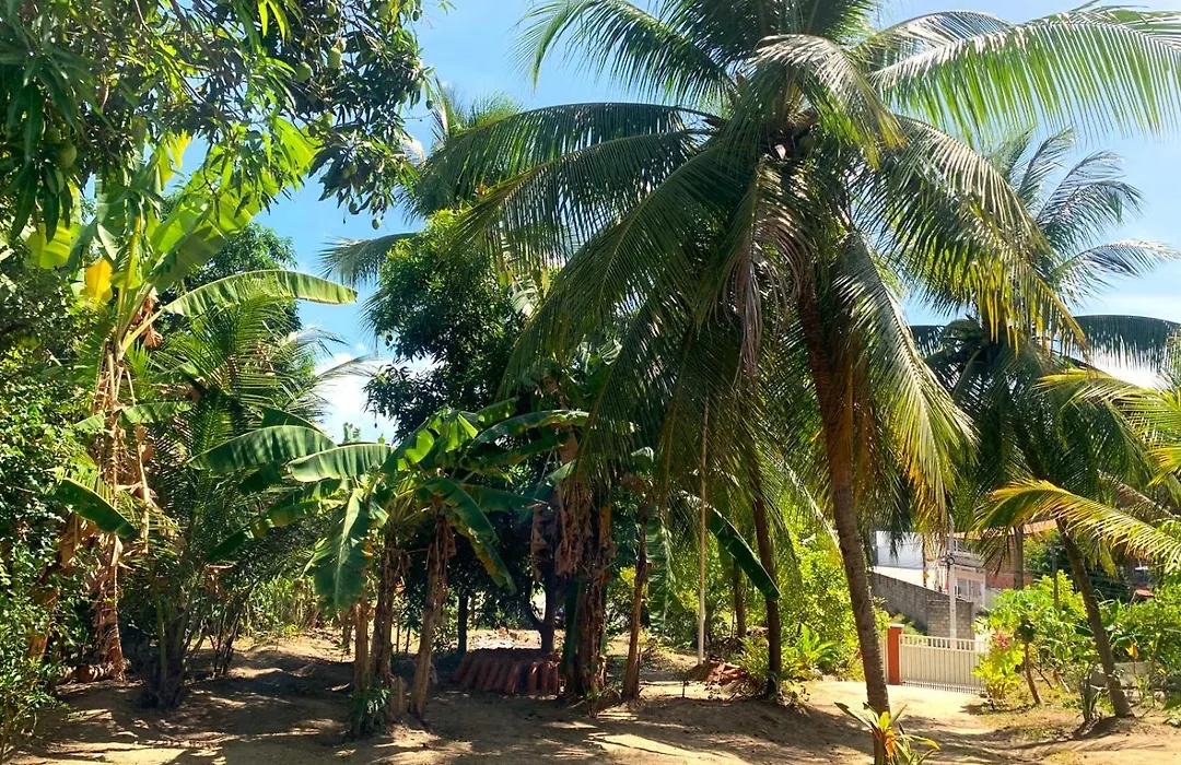 Jacarecica Haus-1