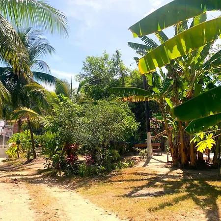 Jacarecica Haus-2